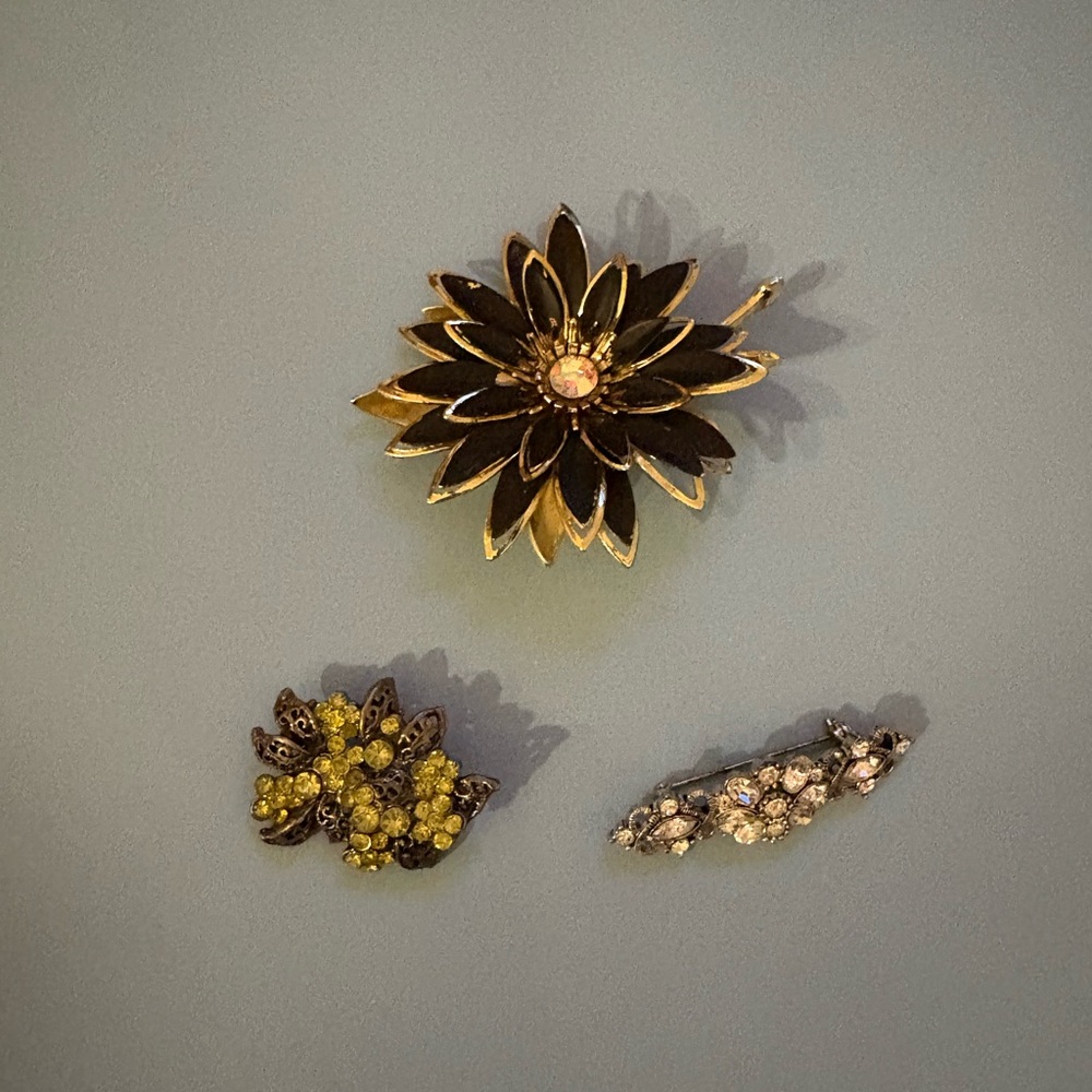 Elegant Gold and Silver Brooch Set